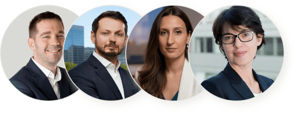 French registered lawyers, accountants and notaries